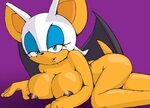 Rouge The Bat Big Boobs Sex Pictures Pass